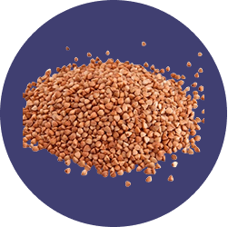 Biota Seed